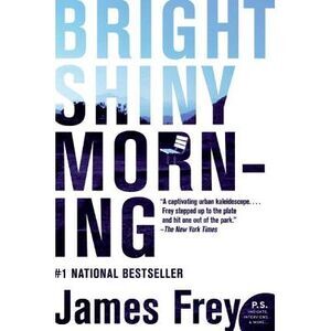 Bright Shiny Morning -- James Frey